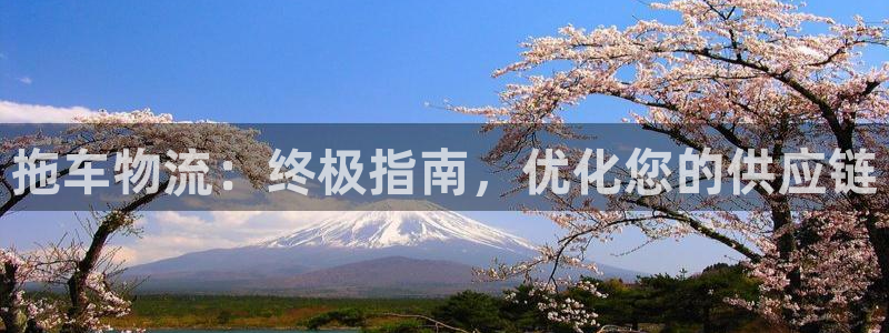 28圈官方版网站