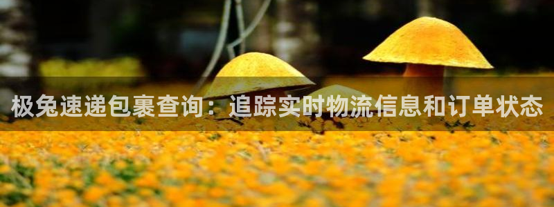28圈推广链接是多少粉丝