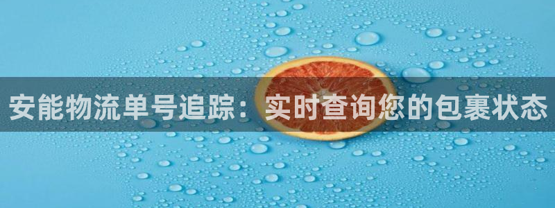 28圈官网平台：安能物流单号追踪：实