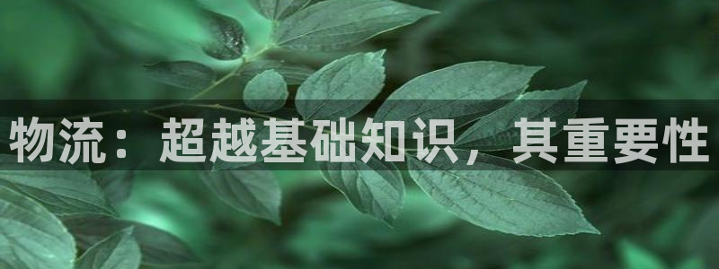 28圈提现不到账：物流：超越基础知识