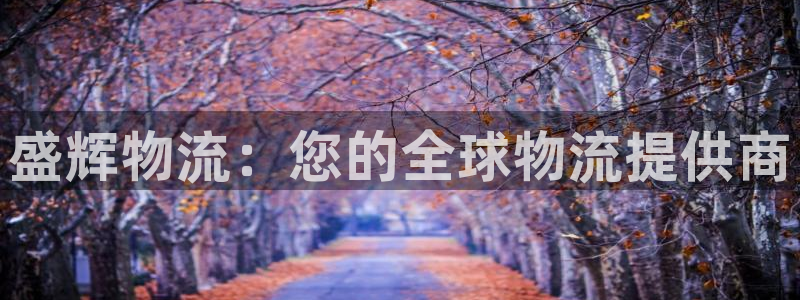 28圈加拿大pc预测