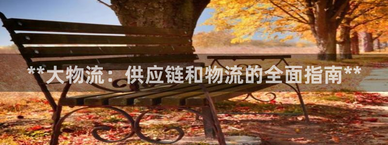 28圈圈助手