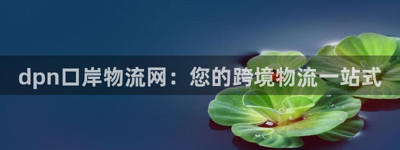 28圈是啥：dpn口岸物流网：您的跨