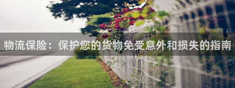 28圈.ccmo：物流保险：保护您的