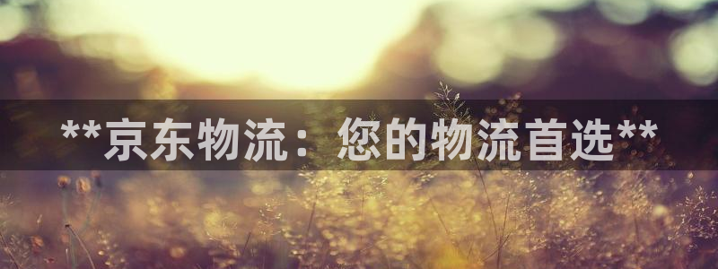 28圈游戏链接