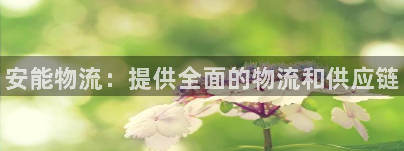 28圈官网平台：安能物流：提供全面的