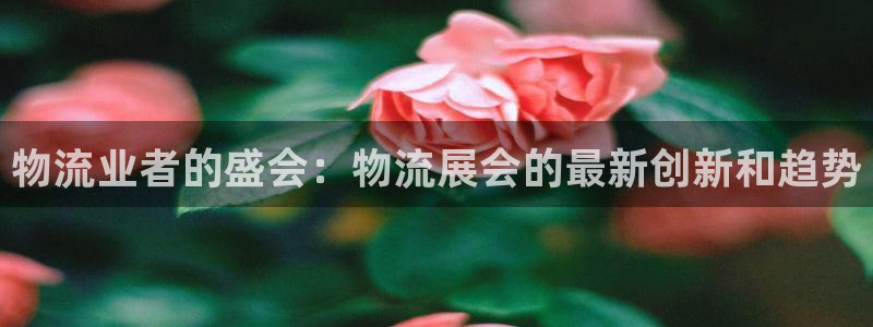 28圈游戏最新版：物流业者的盛会：物