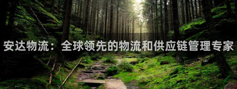 28圈注册步骤：安达物流：全球领先的