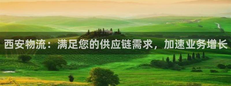 28圈注册号：西安物流：满足您的供应