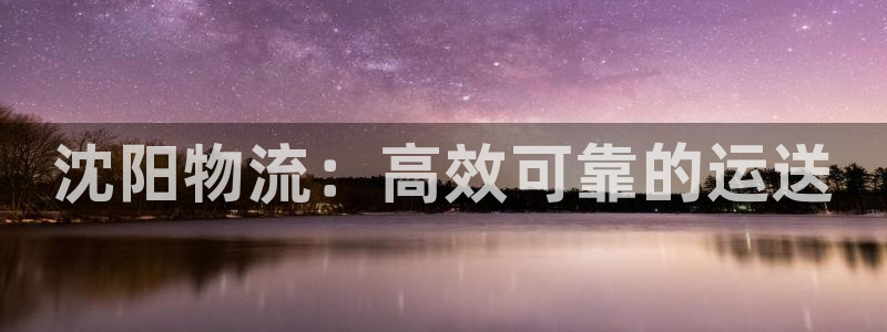 28圈入口问一问：沈阳物流：高效可靠