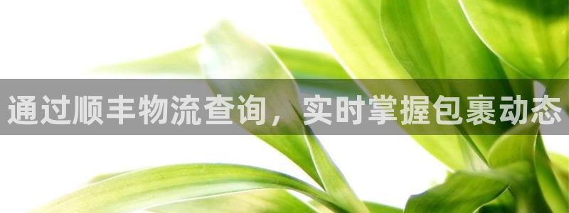 28圈圈助手：通过顺丰物流查询，实时