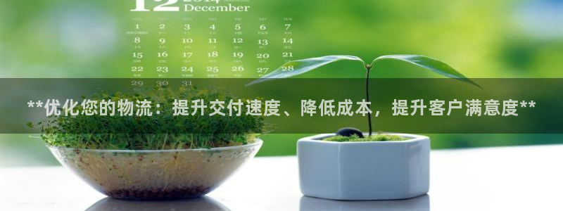 28圈口：**优化您的物流：提升交付