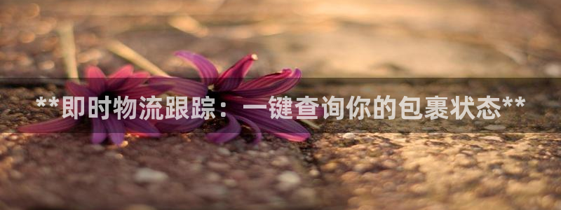 28圈自行车图片大全：**即时物流跟