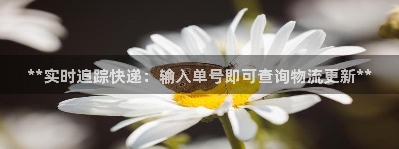 28圈麻将胡了爆分视频：**实时追踪快递：输入单号即可查询物
