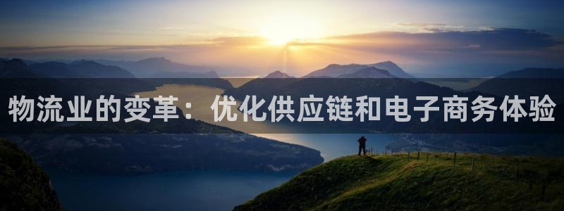 28圈p扣款什么意思：物流业的变革：
