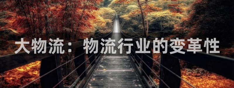 28圈APP是干什么的：大物流：物流行业的变革性