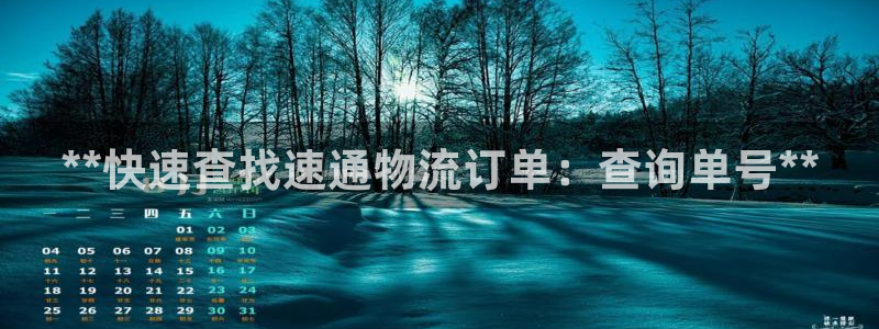28圈模拟器下载
