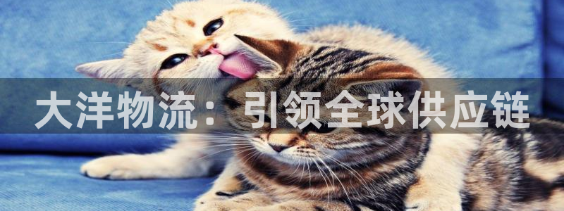 28圈官网下载链接是什么：大洋物流：
