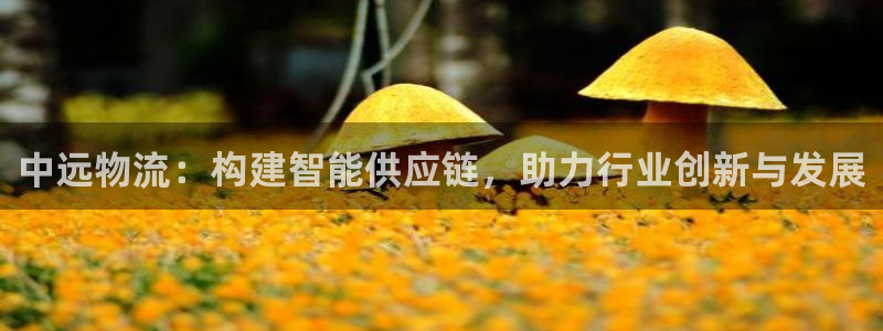 28圈注册流程：中远物流：构建智能供
