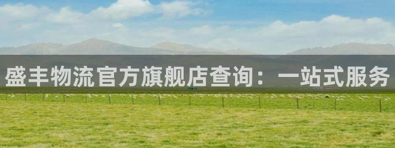 28圈注册网站多少：盛丰物流官方旗舰