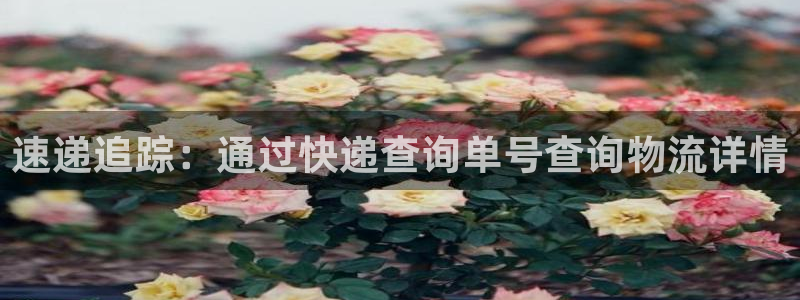 28圈充值不到账怎么办：速递追踪：通