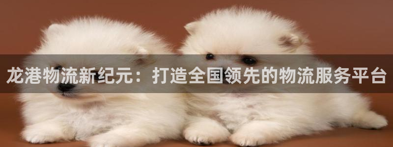 28圈官网平台下载