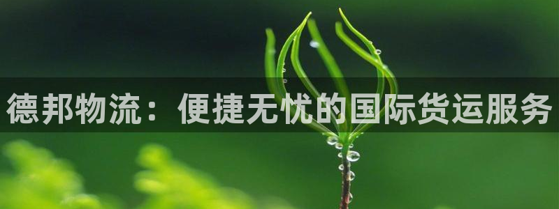 28圈加拿大官网