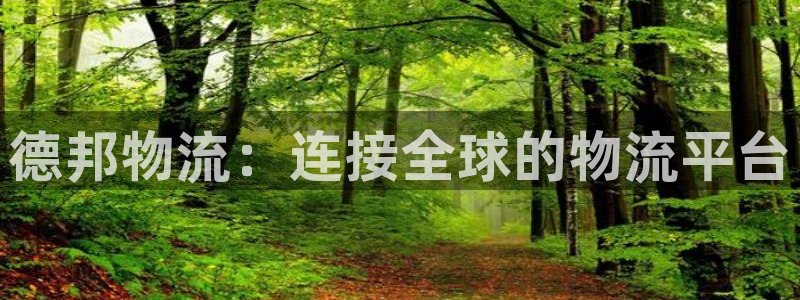 28圈怎么注册账号：德邦物流：连接全