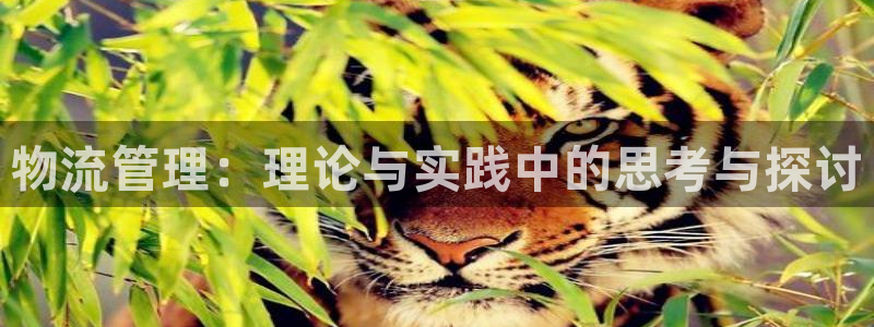 28圈官方网站预测：物流管理：理论与