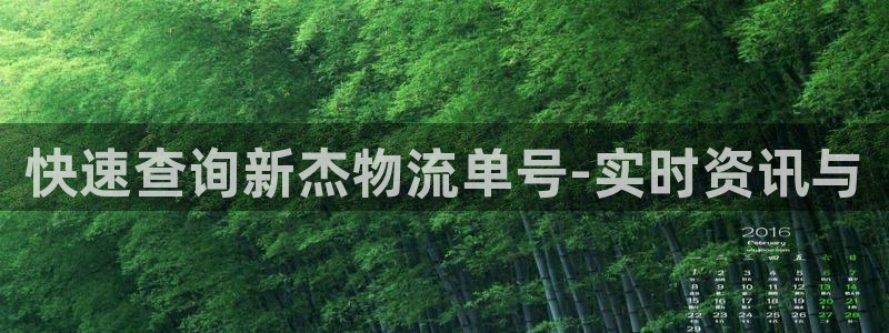 28圈龙虎：快速查询新杰物流单号-实