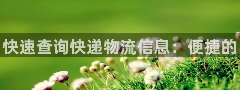 28圈官网注册：快速查询快递物流信息：便捷的