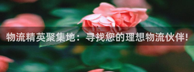 28圈加拿大技巧：物流精英聚集地：寻找您的理想物流伙伴!