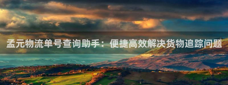 28圈登录流程：孟元物流单号查询助手