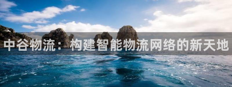 28圈模拟器：中谷物流：构建智能物流