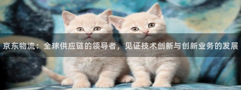 28圈：京东物流：全球供应链的领导者