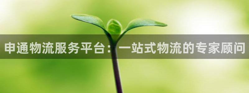 28圈软件是诈骗吗：申通物流服务平台