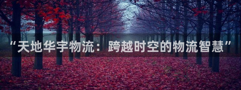 28圈登陆网：“天地华宇物流：跨越时空的物流智慧”
