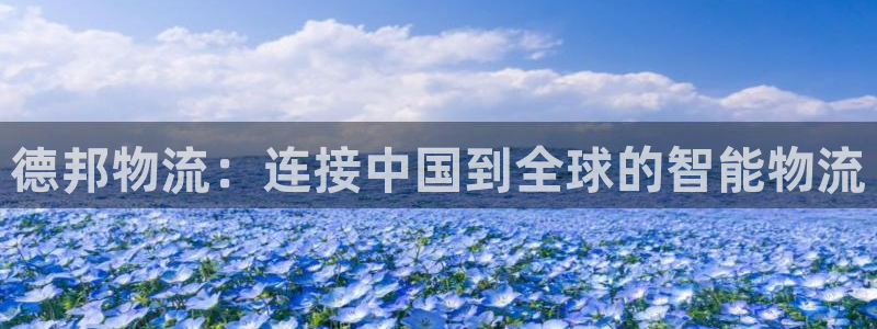 28圈分分28输了能不能退：德邦物流