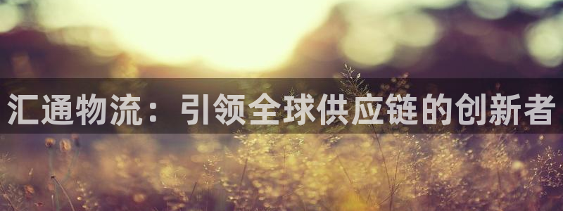 28圈注册网站加拿大：汇通物流：引领