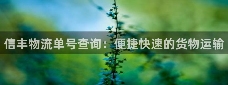 28圈加拿大技巧：信丰物流单号查询：