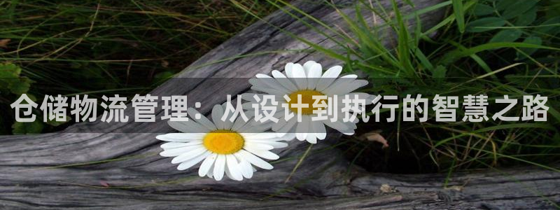 28圈犯法吗：仓储物流管理：从设计到