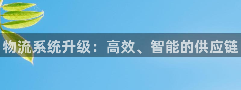 28圈游戏：物流系统升级：高效、智能