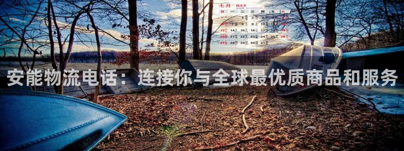 28圈注册网站多少：安能物流电话：连