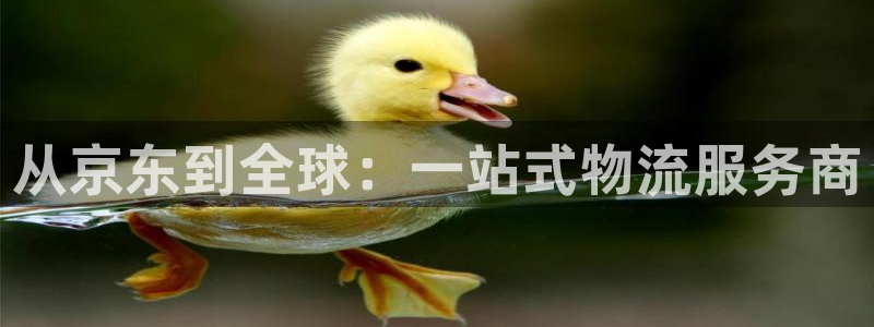 28圈登录流程：从京东到全球：一站式