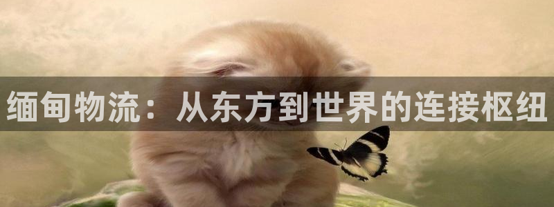 28圈赌博被抓：缅甸物流：从东方到世界的连接枢纽