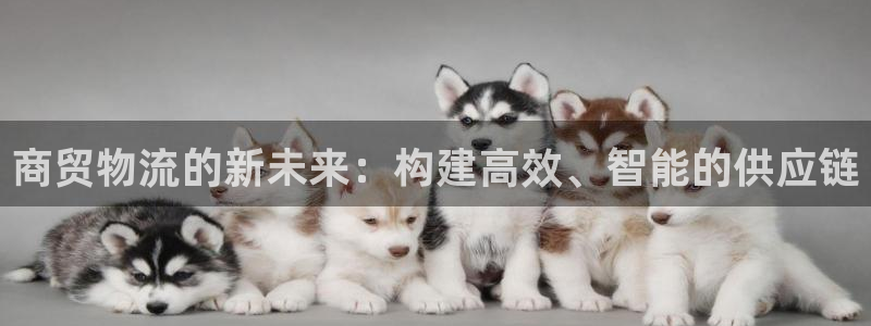 28圈旗下：商贸物流的新未来：构建高效、智能的供应链
