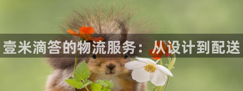 28圈连输10天：壹米滴答的物流服务