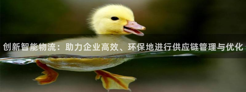 28圈平台注册：创新智能物流：助力企