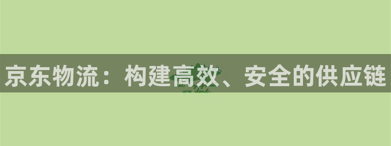 28圈注册网站链接：京东物流：构建高