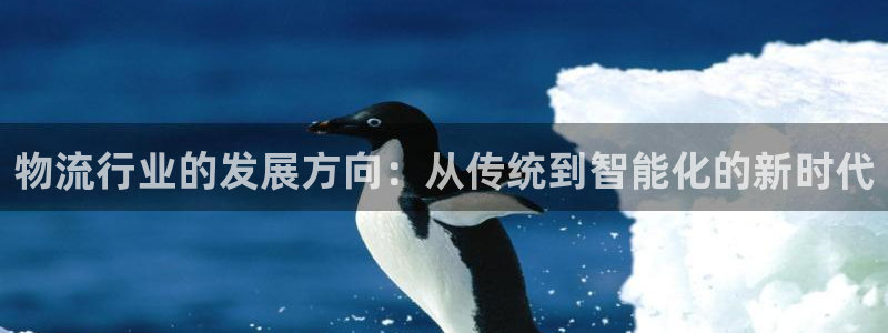 28圈官方版网站：物流行业的发展方向